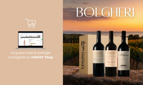 Vini Bolgheri: la Toscana che conquista