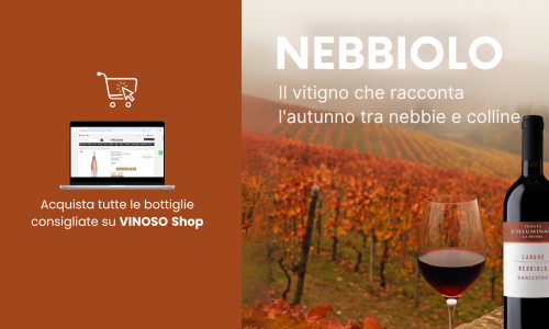 Nebbiolo vino: il rosso che racconta l’autunno