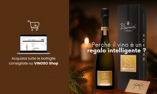 Vini regalo Natale: migliori vini da regalare a Natale 2025