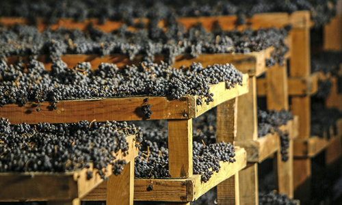 Valpolicella: cinque vini differenti prodotti dalle stesse uve, quali sono le differenze?