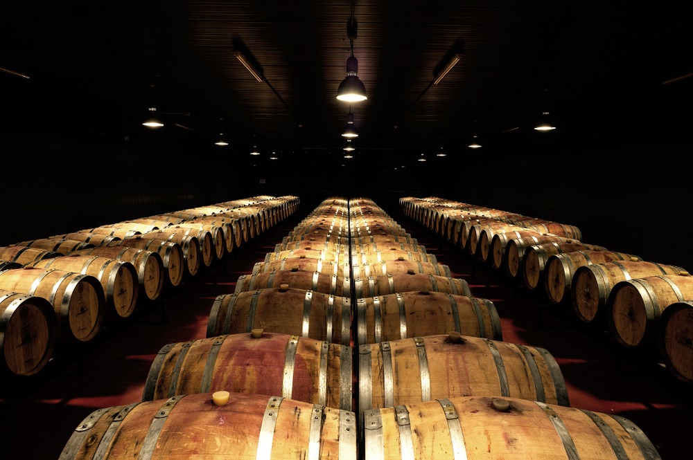 Ageing wines in wood: what it is used for, what types of wood are used