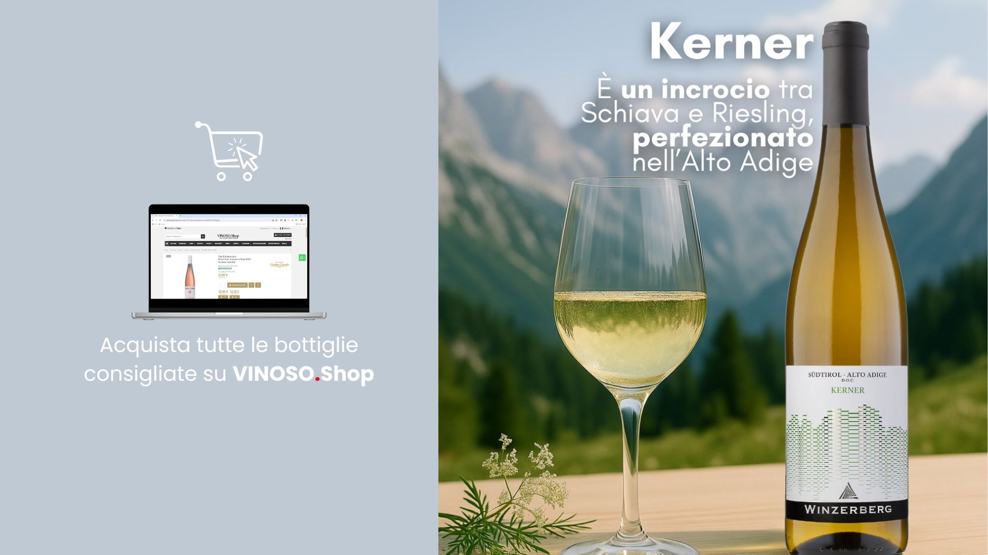 Vino bianco Kerner: guida completa al vitigno aromatico dell’Alto Adige