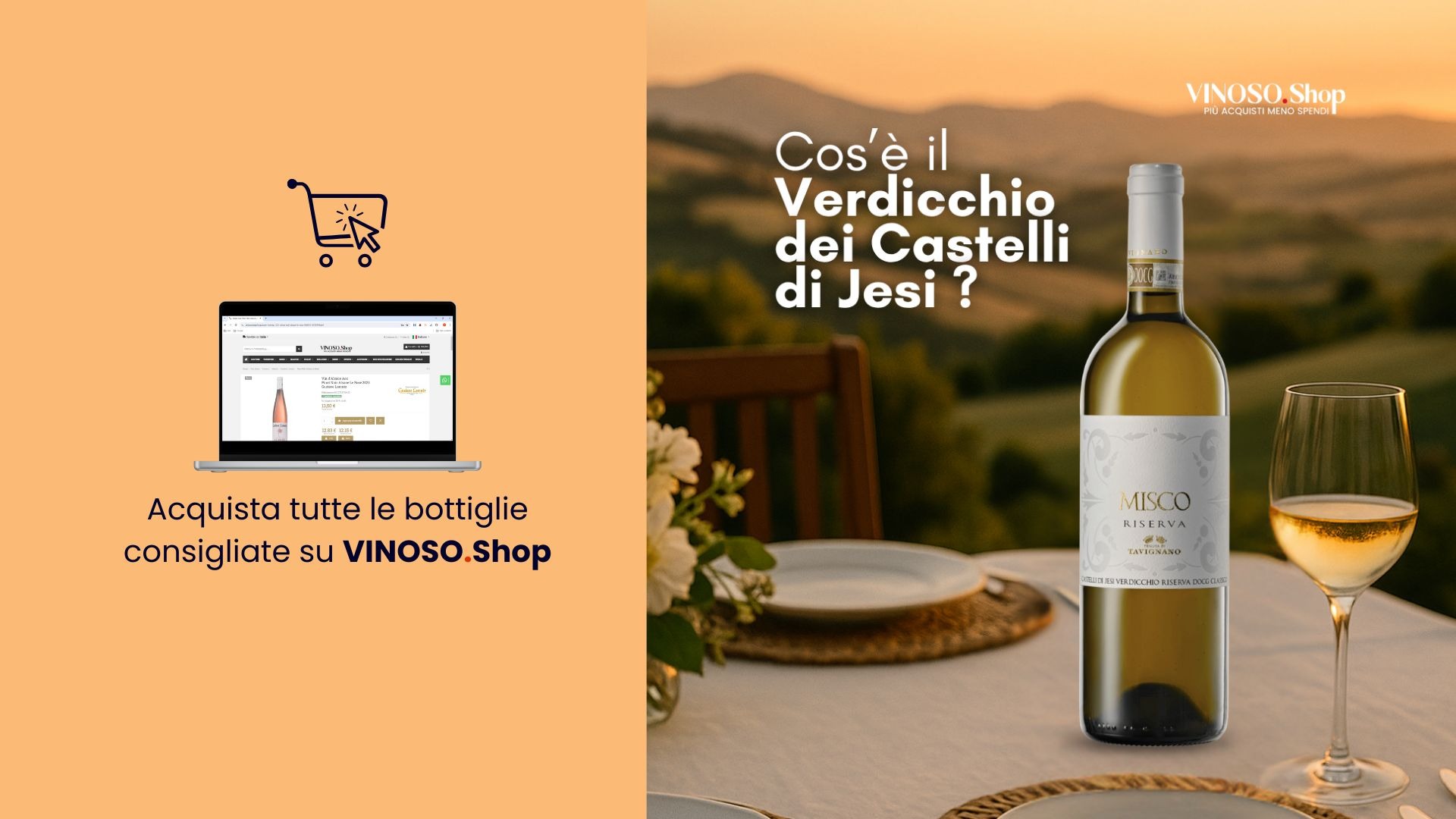Verdicchio dei Castelli di Jesi: il bianco marchigiano che conquista ogni tavola