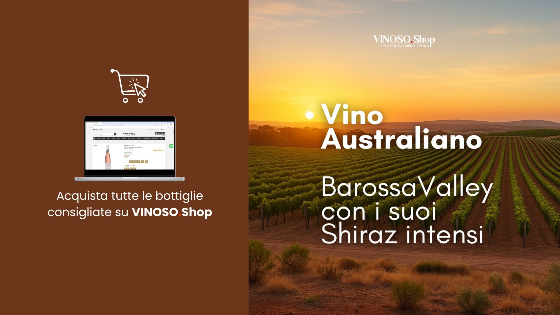 Vino australiano online: scopri i migliori vini dell’Australia