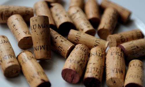 Dolcetto Barbera e Nebbiolo