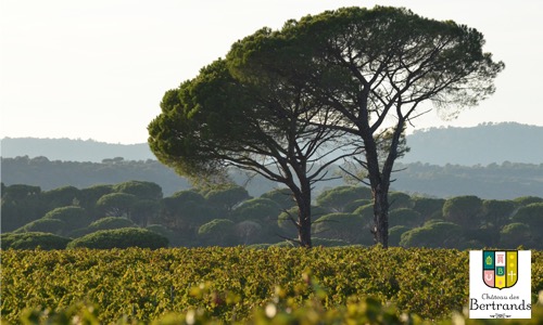 CHÂTEAU DES BERTRANDS: il Rosé della Côte de Provence
