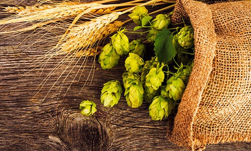 2 birre artigianali non filtrate spagnole