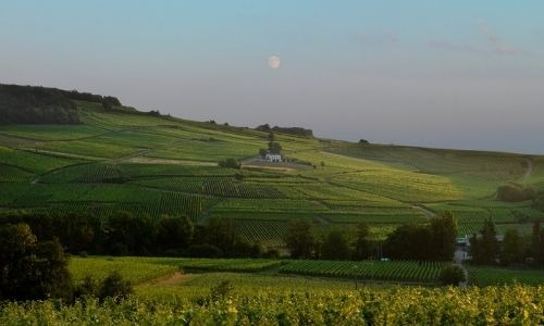 Alsazia: la storia, il territorio, i vini e le denominazioni.