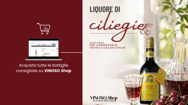 Liquore di ciliegie: guida rapida per conoscerlo, servirlo e sceglierlo online