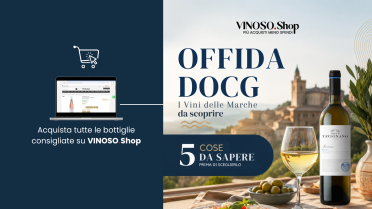 Offida Docg: guida ai Vini delle Marche da scoprire e comprare online
