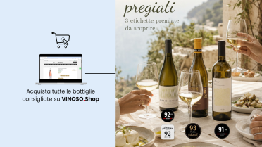 Vini bianchi pregiati italiani: guida ai vini bianchi buoni da scegliere online